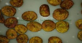 Fig Drying System - Image 6