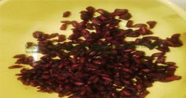 Grapes Drying System - Image 2