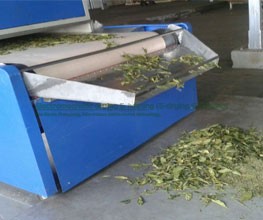 Continuous Type Electromagnetic Green Tea / Black Tea Drying System