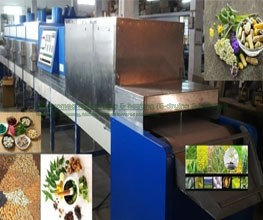 Fig Infrared – Microwave Conveyorised Drying System