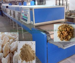 Fig Infrared – Microwave Conveyorised Drying System
