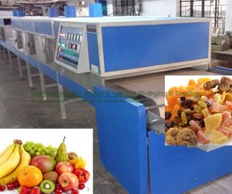 Fig Infrared – Microwave Conveyorised Drying System