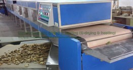 Fig Infrared – Microwave Conveyorised Drying System