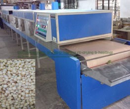 Fig Infrared – Microwave Conveyorised Drying System
