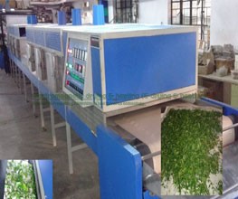 Fig Infrared – Microwave Conveyorised Drying System
