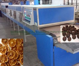 Fig Infrared – Microwave Conveyorised Drying System