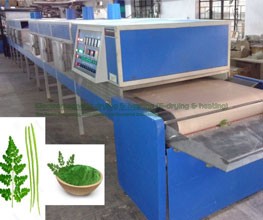 Fig Infrared – Microwave Conveyorised Drying System