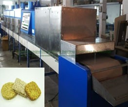 Fig Infrared – Microwave Conveyorised Drying System