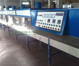 Fig Infrared – Microwave Conveyorised Drying System