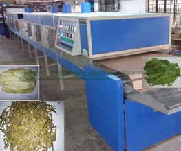 Fig Infrared – Microwave Conveyorised Drying System